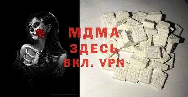 индика Алексин