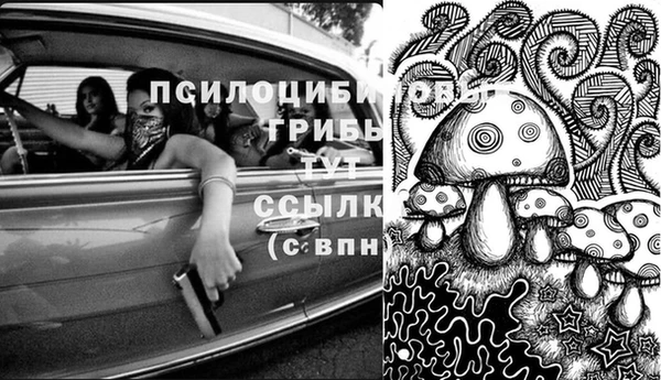 кокс Алзамай