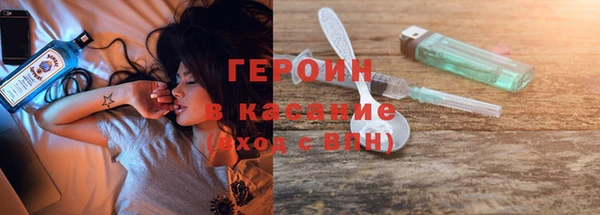 индика Алексин