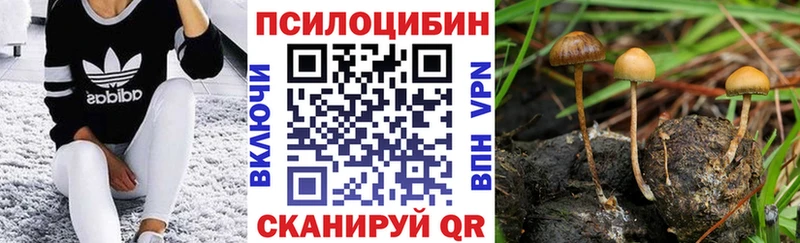 Псилоцибиновые грибы GOLDEN TEACHER  Усть-Илимск 